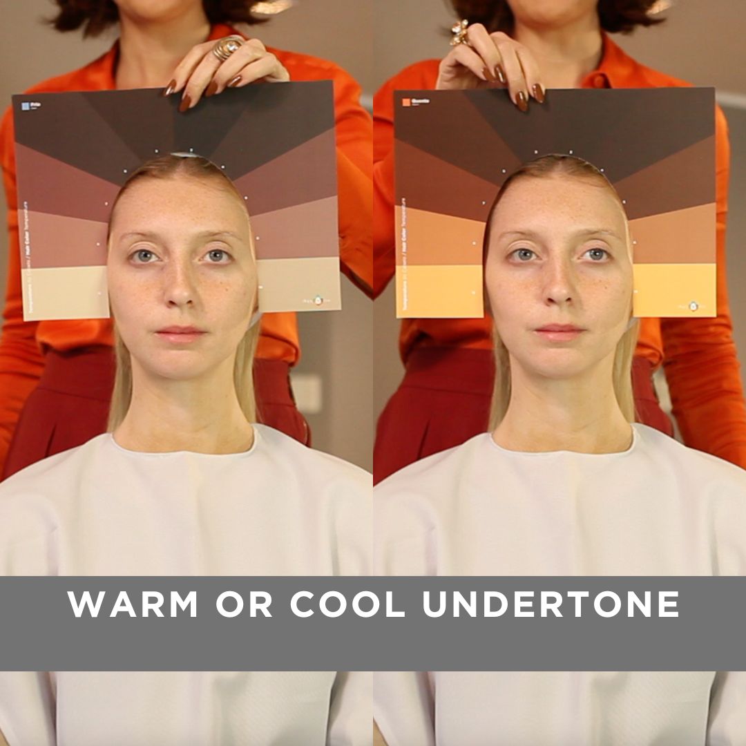Hairstylist Color Analysis Set