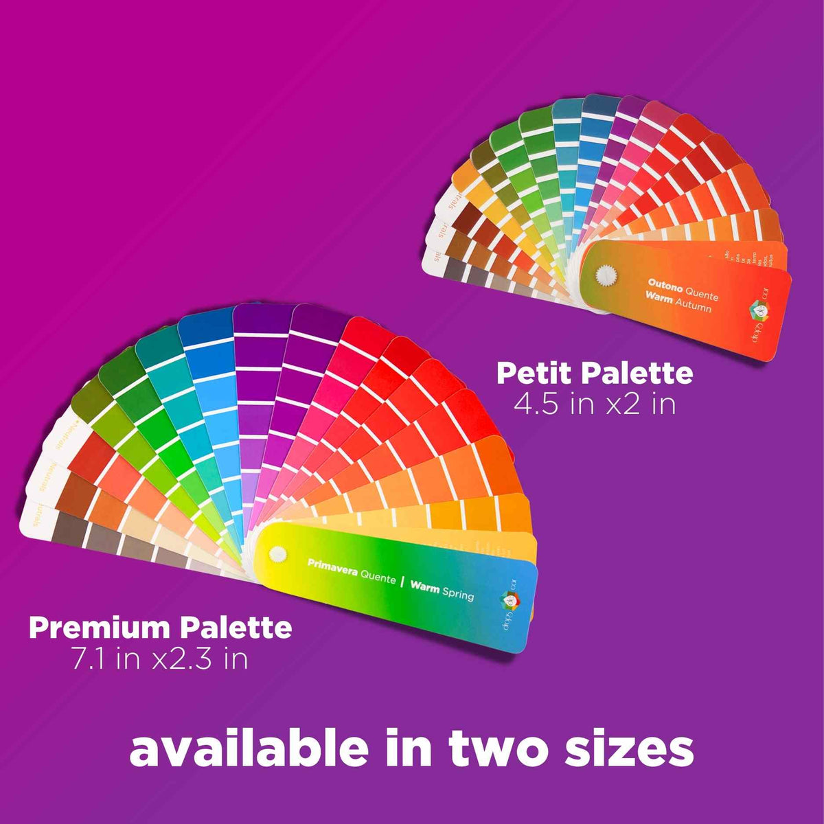 color palettes