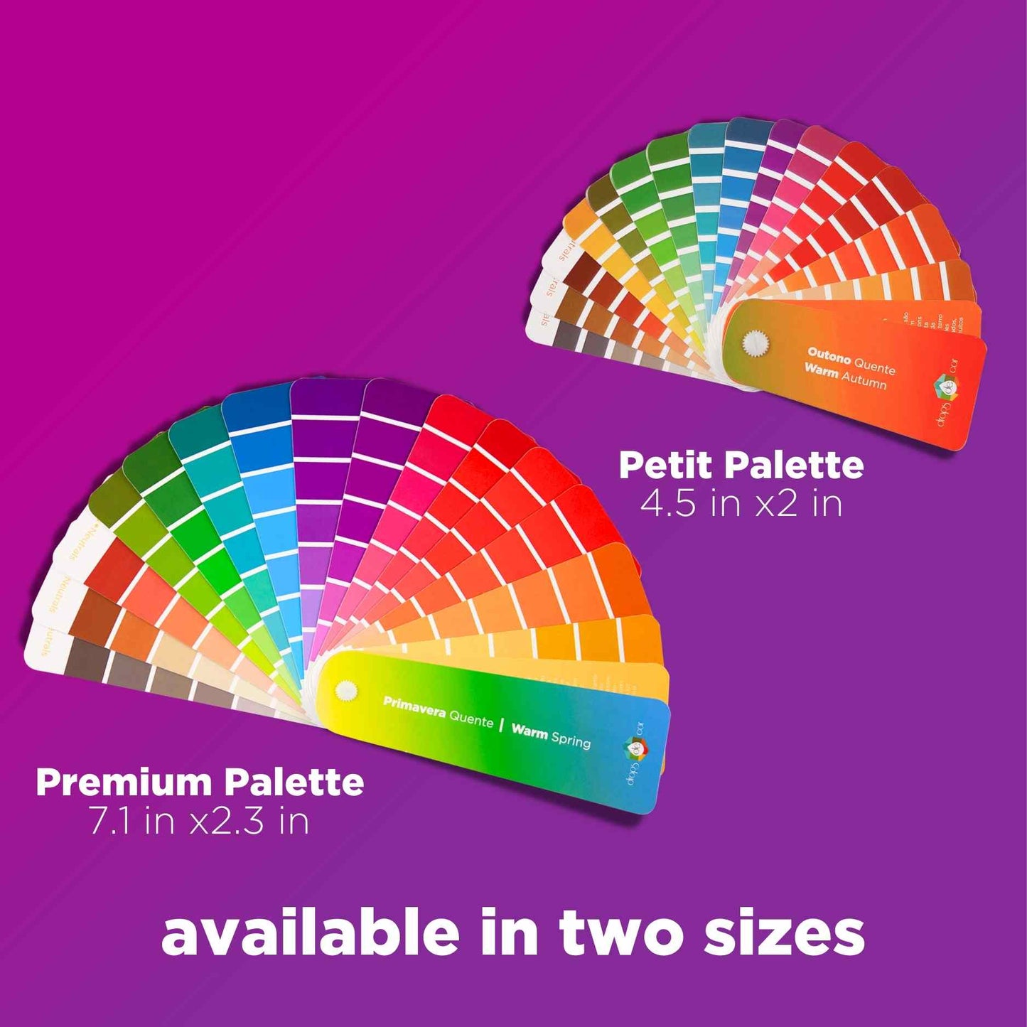 color palettes