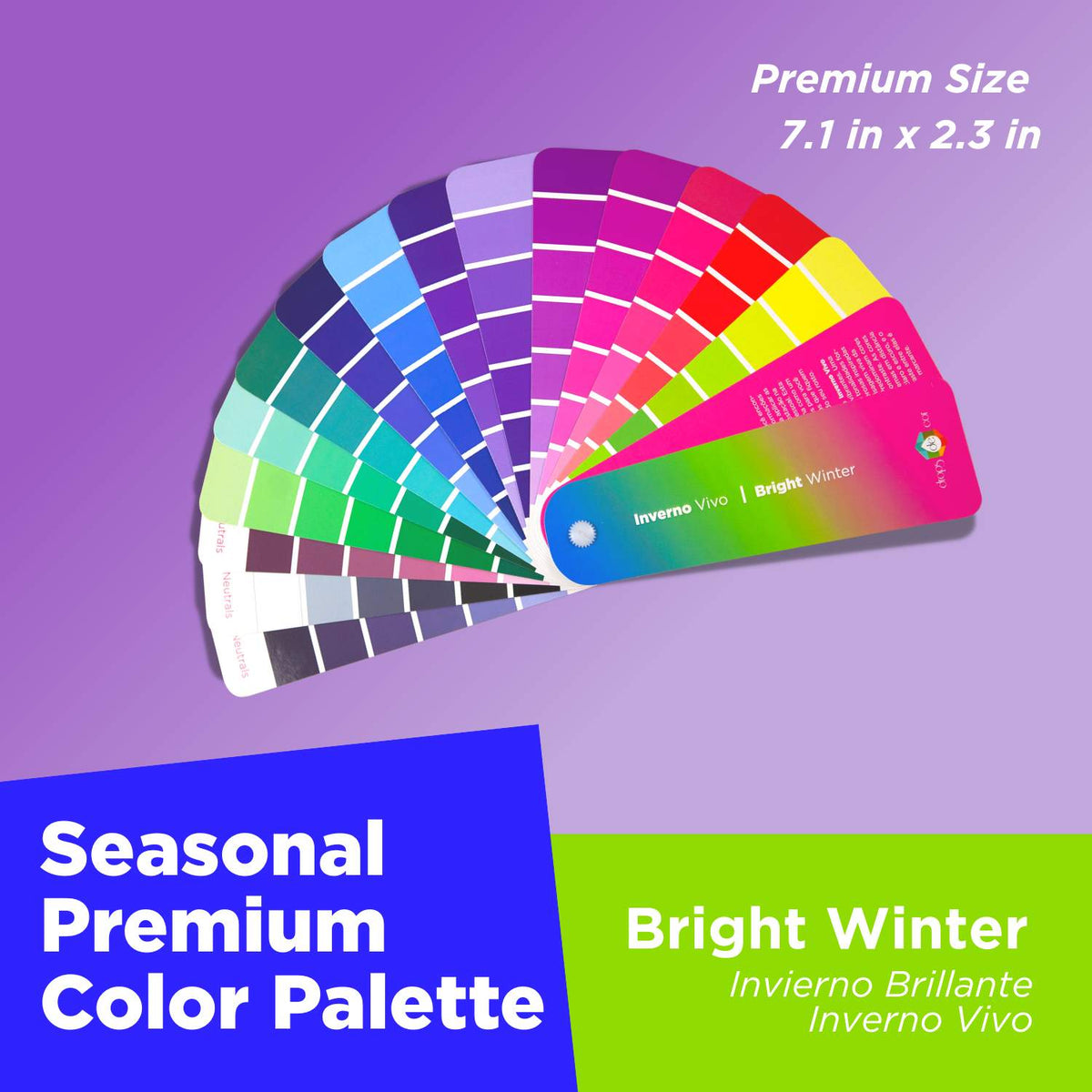 Seasonal Color Analysis Palette Premium - Bright Winter