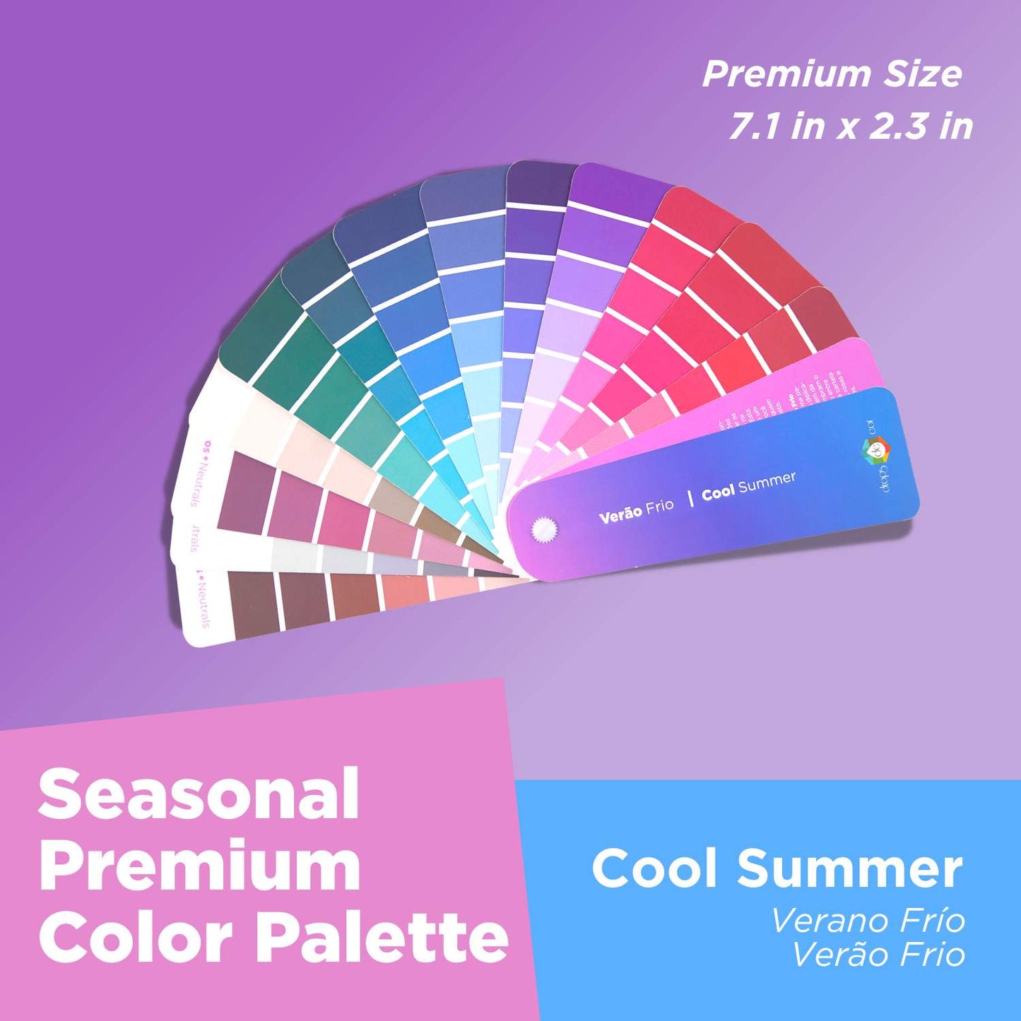 Análisis de colores de temporada: Paleta Petit - Primavera ligera