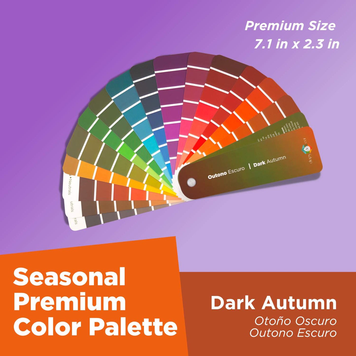 Análisis de colores de temporada: Paleta Petit - Primavera ligera