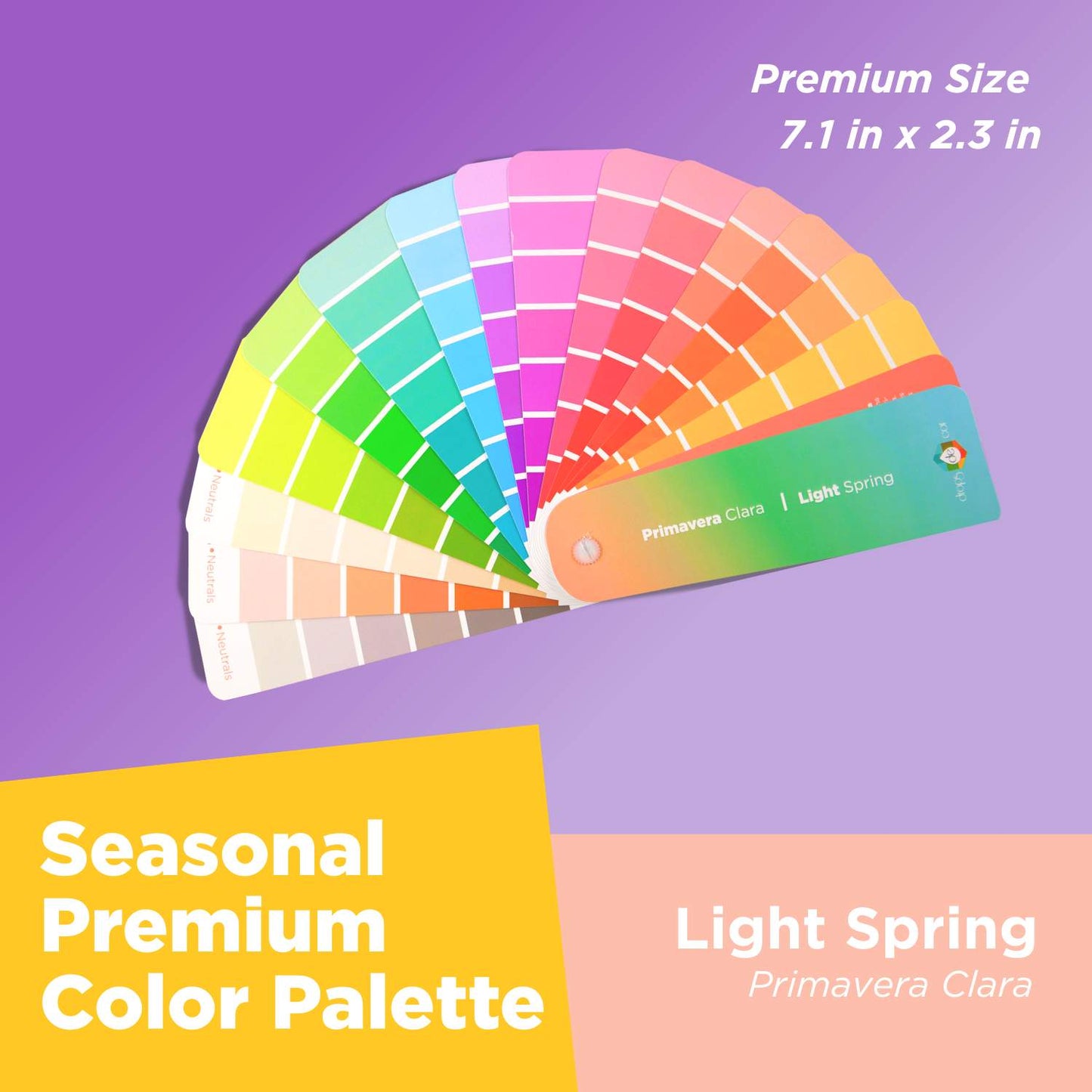 Seasonal Color Analysis Palette Premium - Light Spring