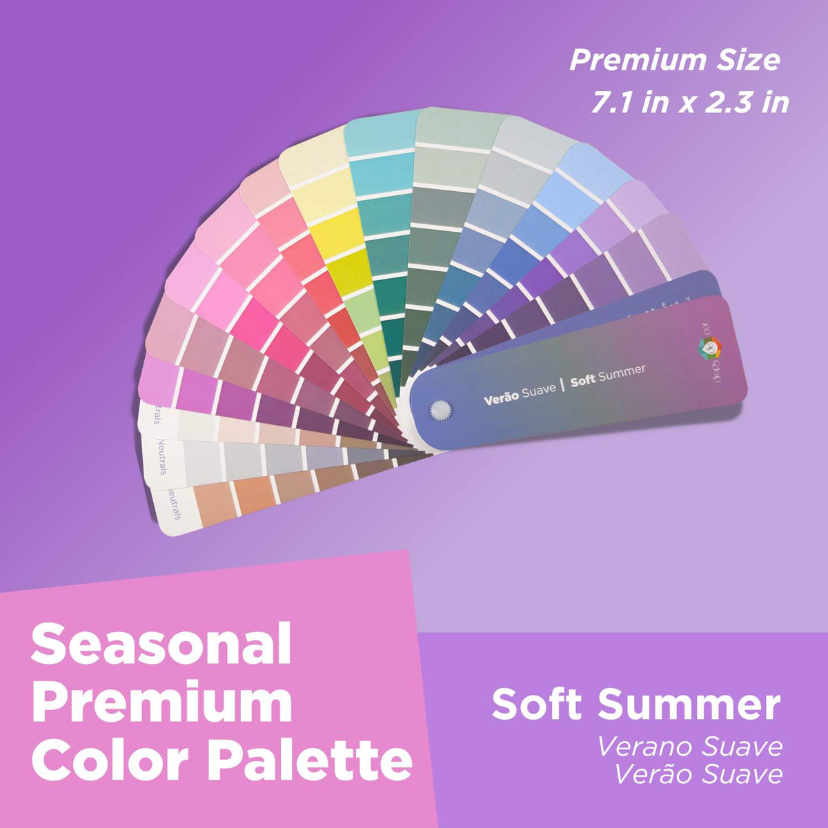 Análisis de colores de temporada: Paleta Petit - Primavera ligera