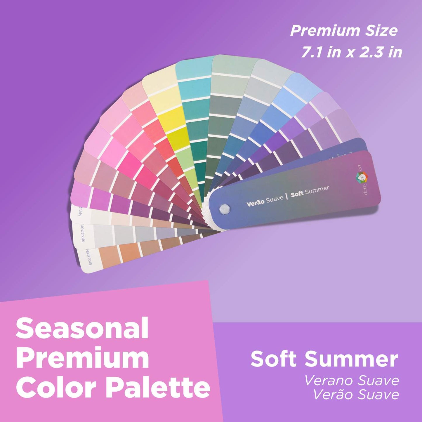 Análisis de colores de temporada: Paleta Petit - Primavera ligera