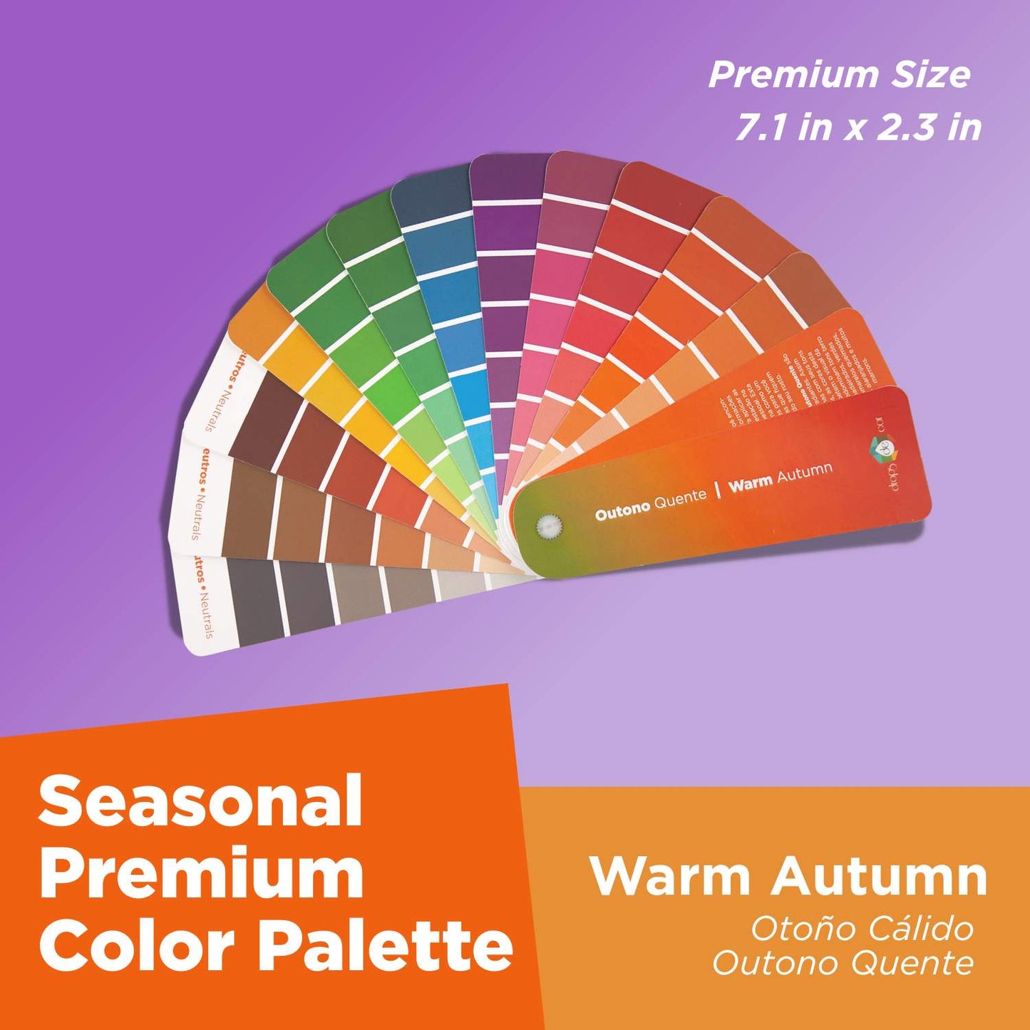 Análisis de colores de temporada: Paleta Petit - Primavera ligera