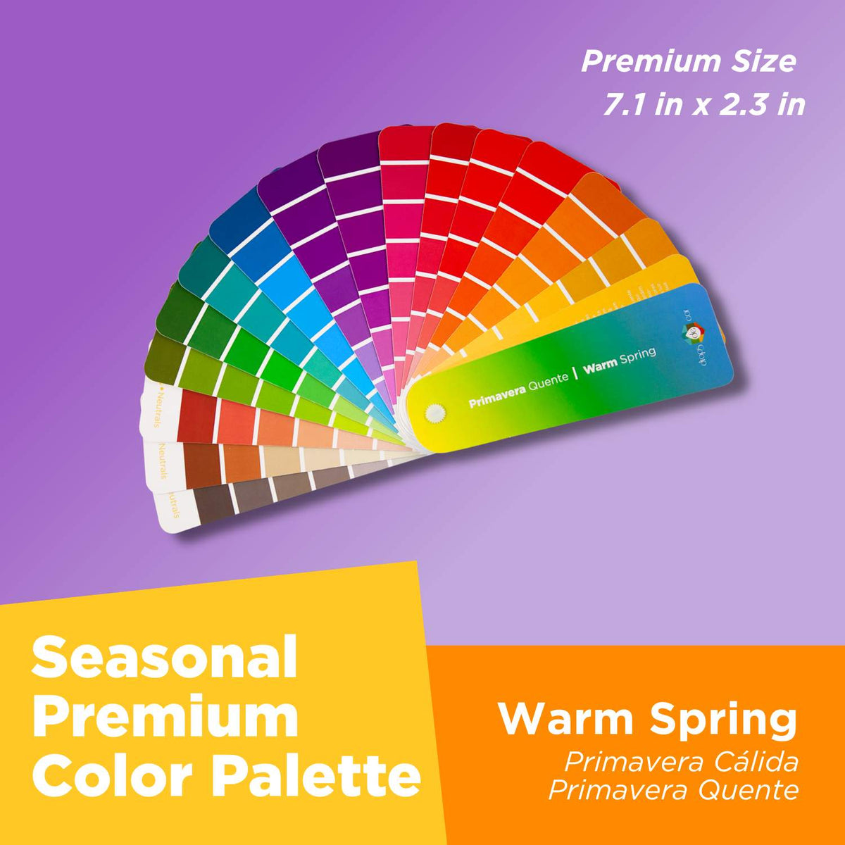 Seasonal Color Analysis Palette Premium - Warm Spring