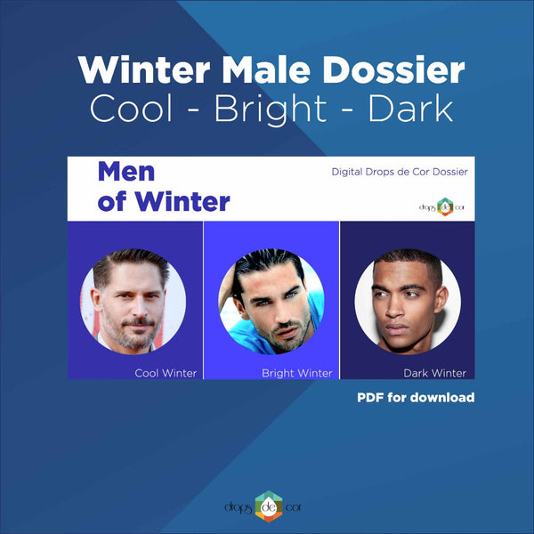 Guía electrónica de análisis de color estacional - Invierno - Masculino