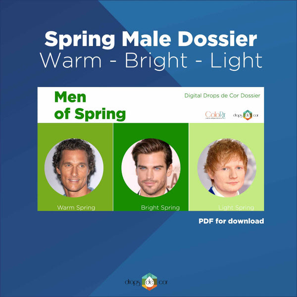 Guía electrónica de análisis de color estacional - Primavera - Masculino