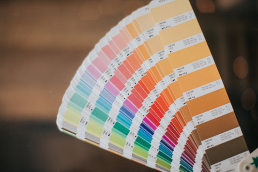 a close up of a pan of paint samples