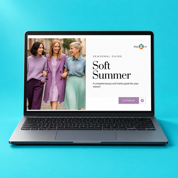 Digital guide