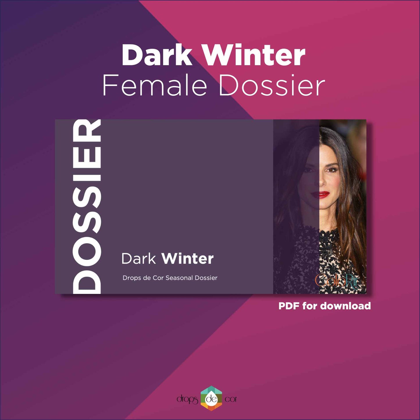 Dark Winter Digital Dossier