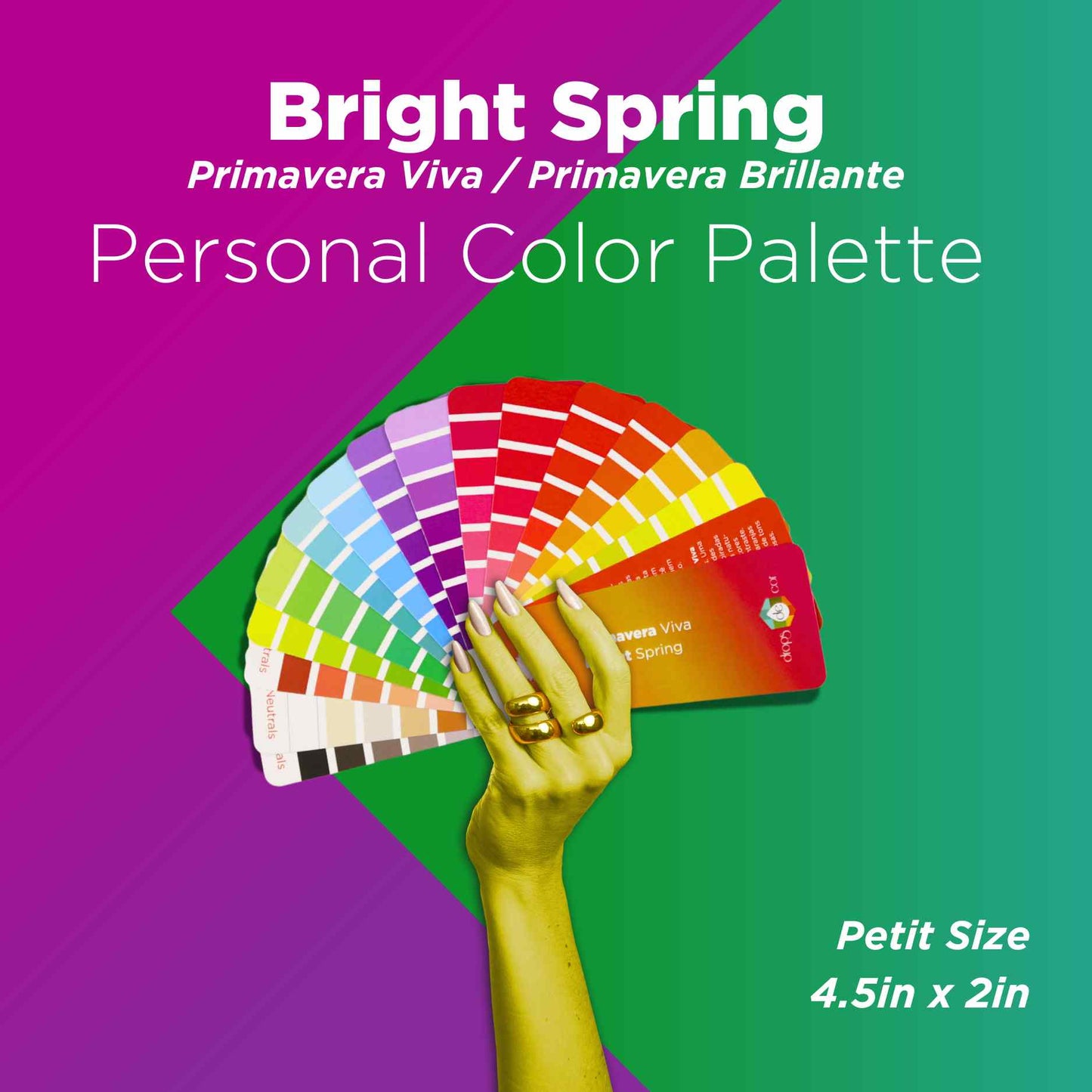 Seasonal Color Analysis Palette Petit - Bright Spring