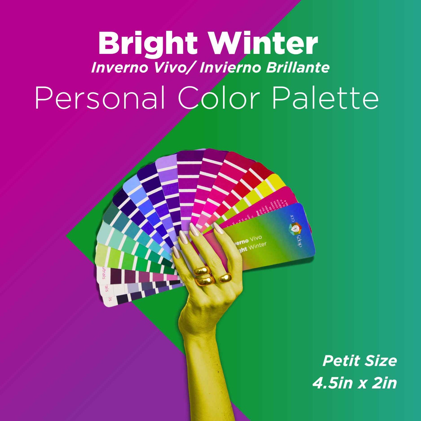 Seasonal Color Analysis Palette Petit - Bright Winter