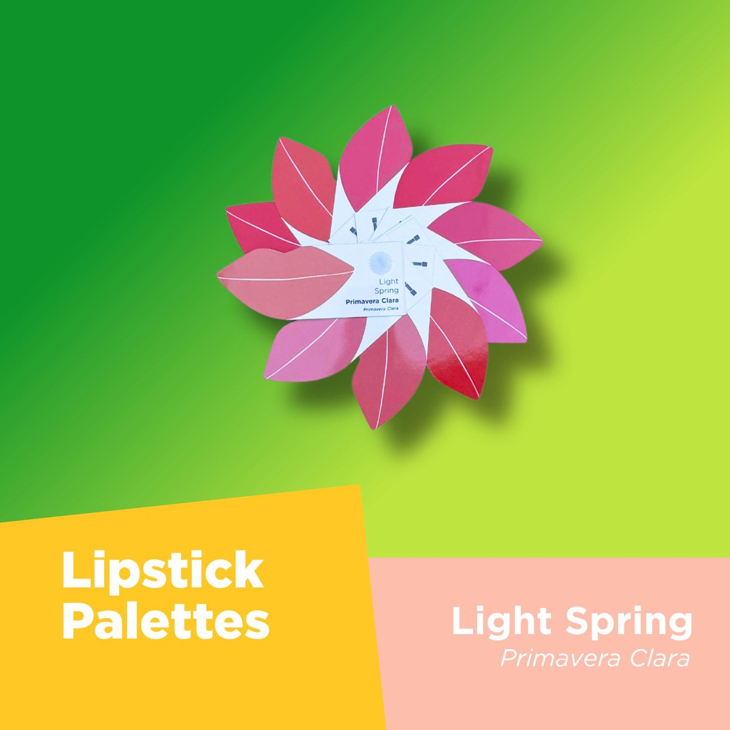 Your Colors Set - Light Spring