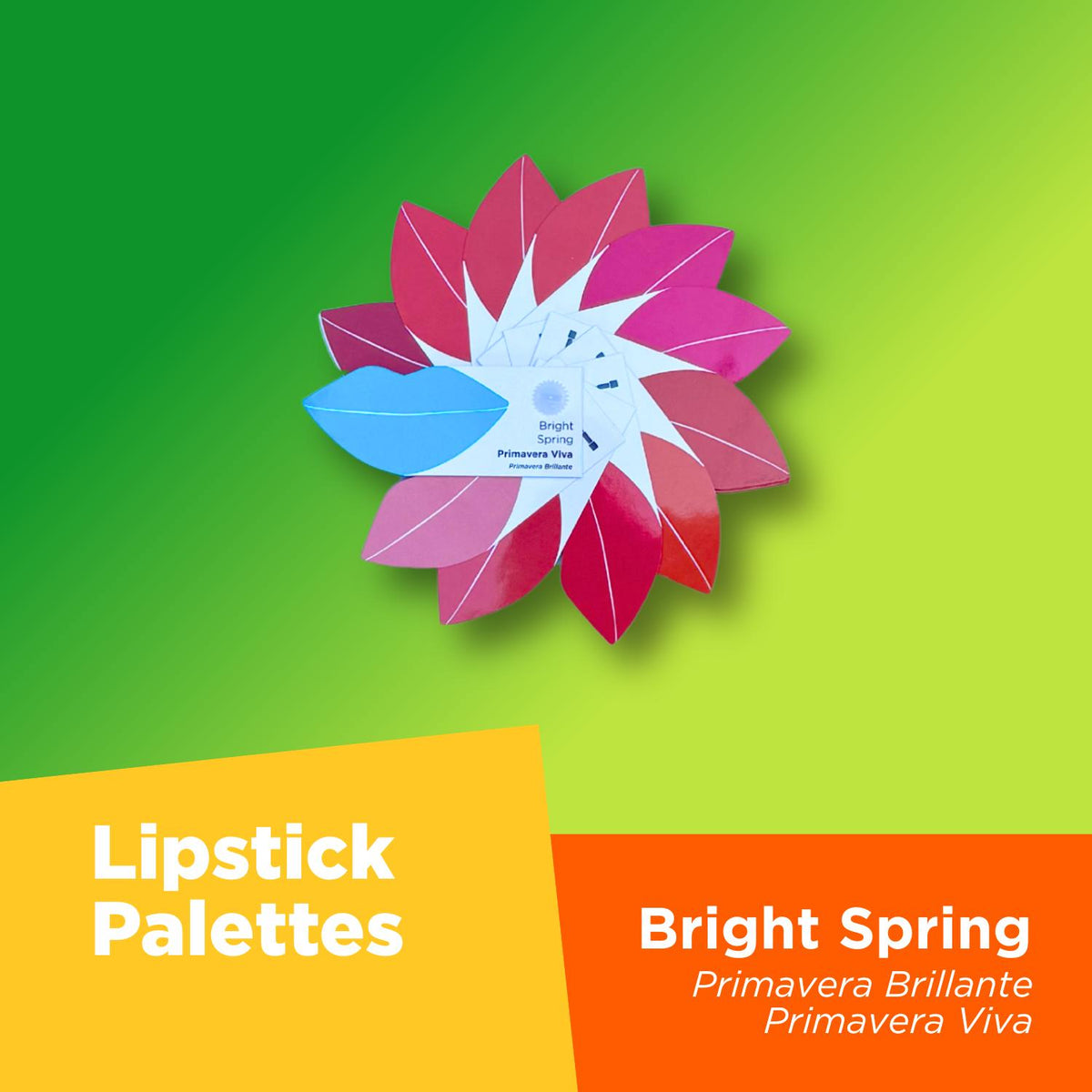 Your Colors Set - Bright Spring