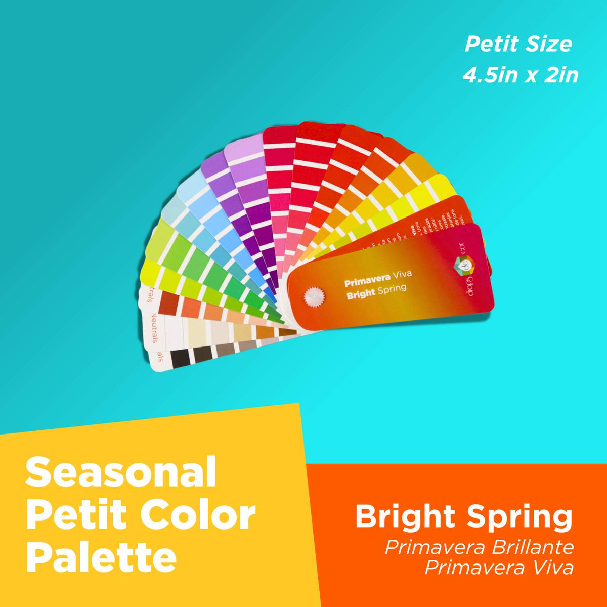 Seasonal Color Analysis Palette Petit - Bright Spring