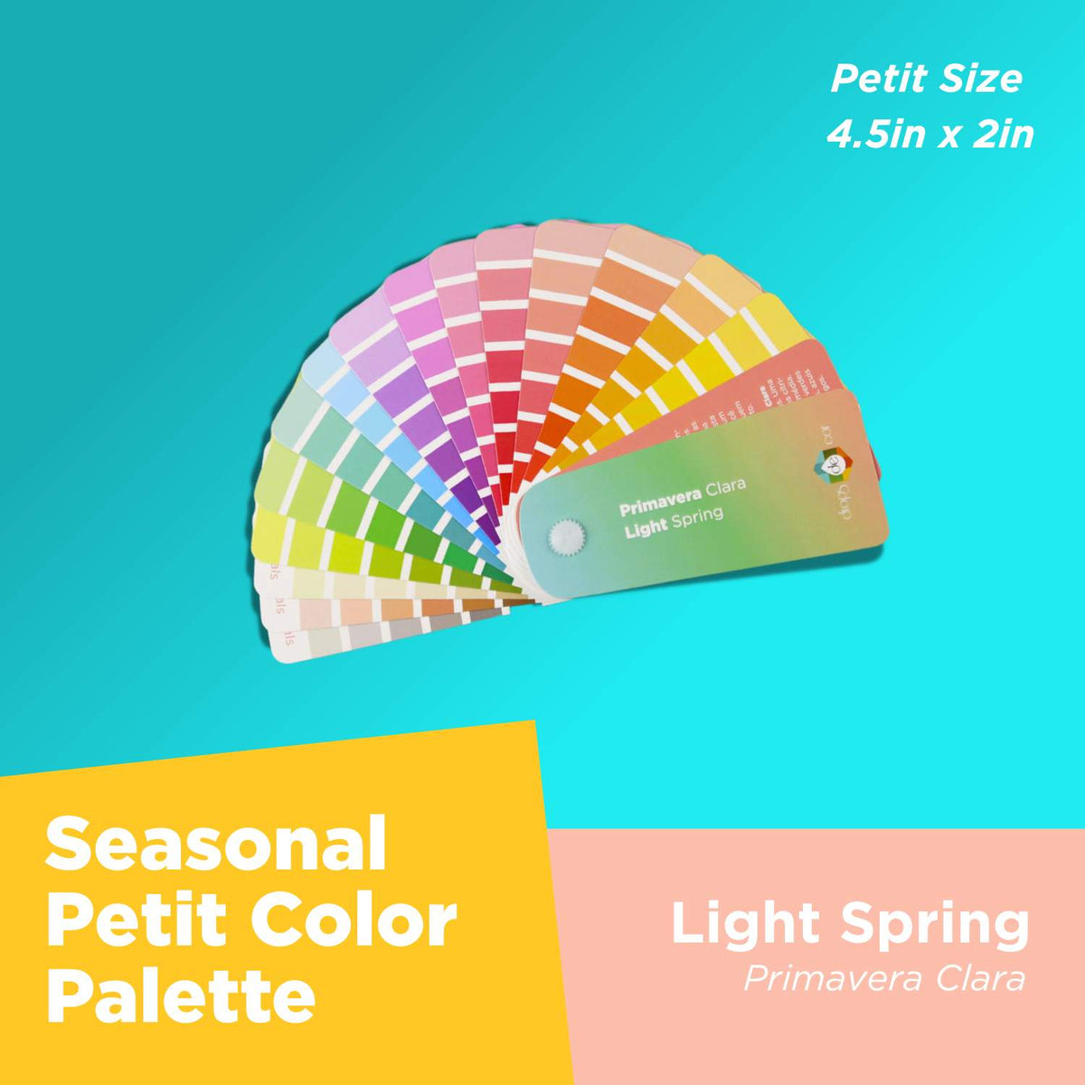 Análisis de colores de temporada: Paleta Petit - Primavera ligera