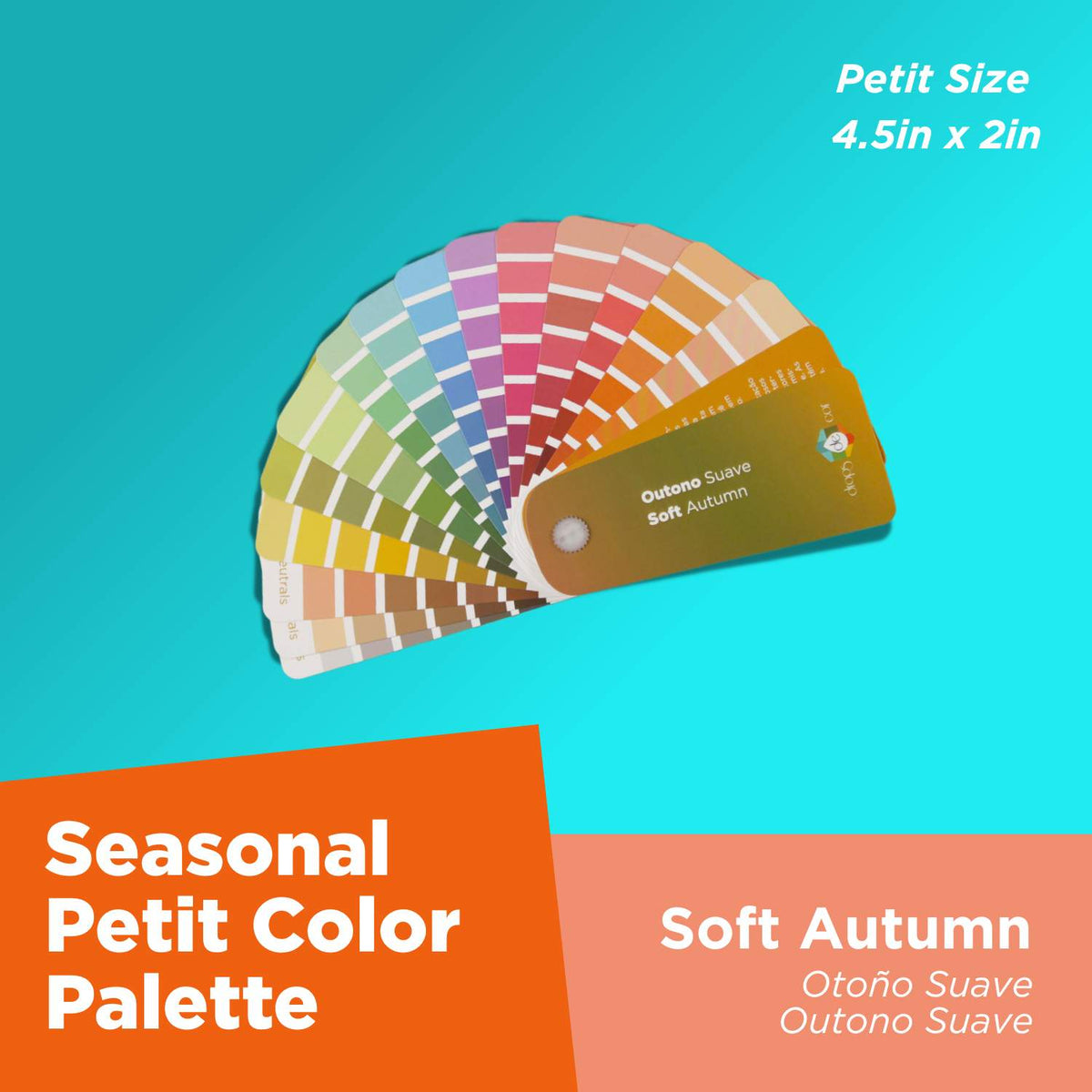 Seasonal Color Analysis Palette Petit - Soft Autumn | color analysis tools
