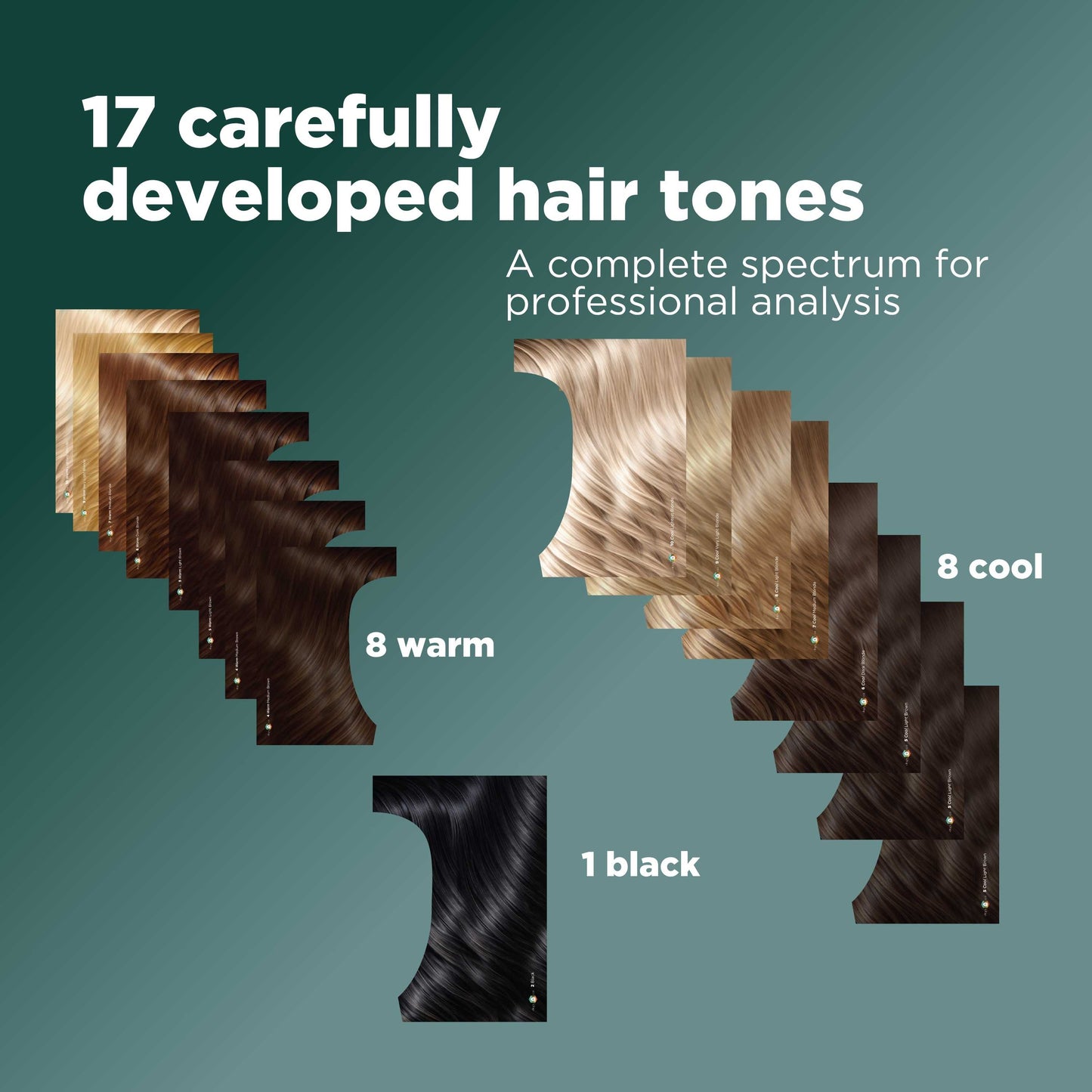 Premium Hair Tone Charts