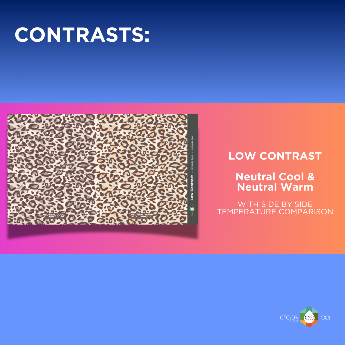 New 2026 Edition - Animal Print - Fashion Pattern Collection