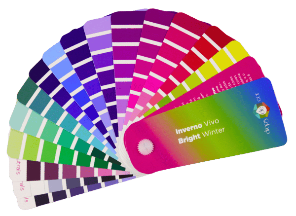 bright winter seasonal palette